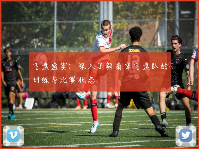 飞盘盛宴：深入了解南京飞盘队的训练与比赛状态