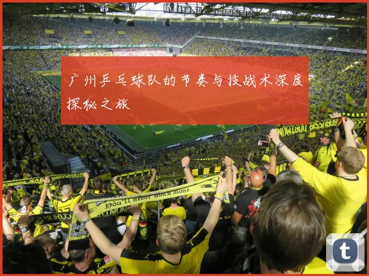 广州乒乓球队的节奏与技战术深度探秘之旅