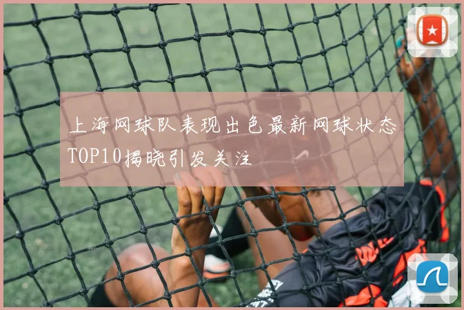 上海网球队表现出色最新网球状态TOP10揭晓引发关注